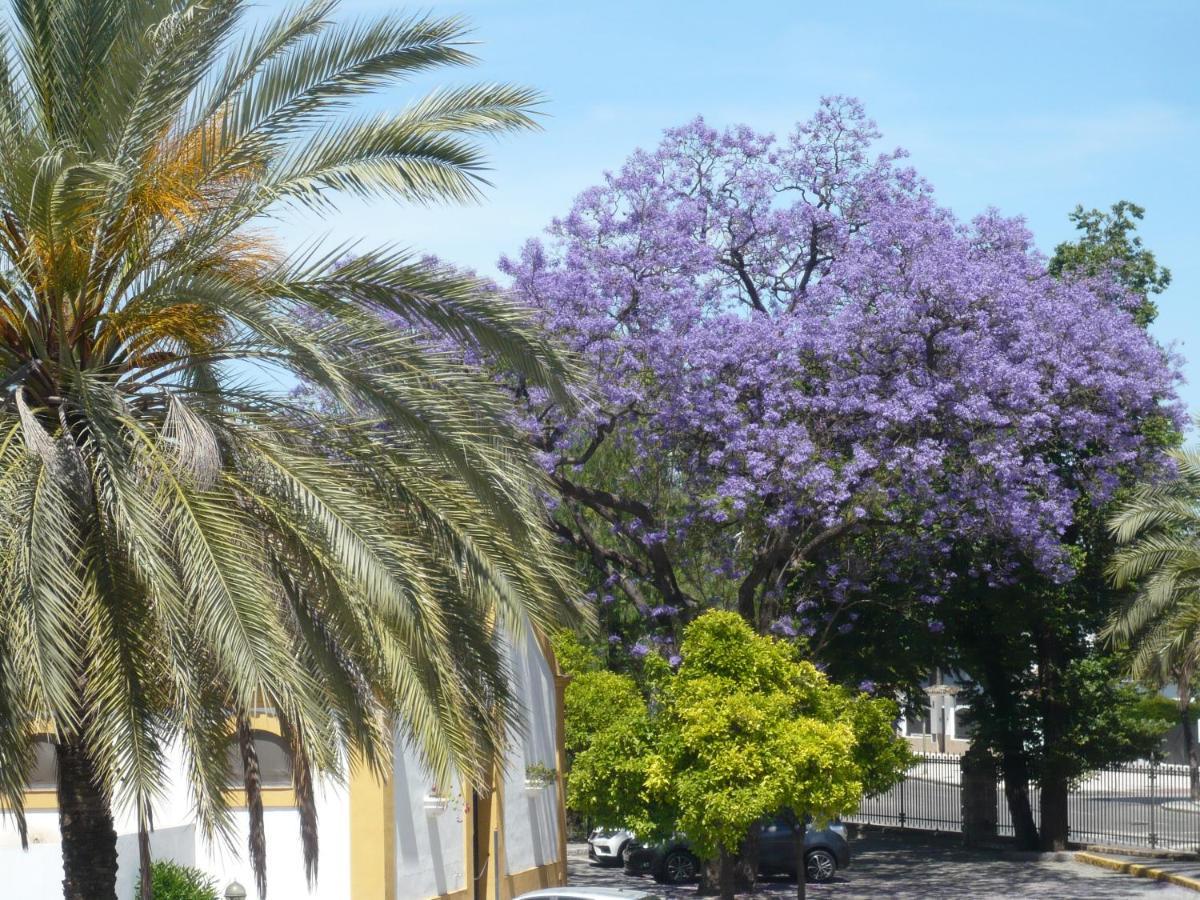 Real Escuela Apartment Jerez de la Frontera